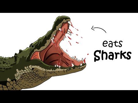 Why It Sucks to Be Born as a Saltwater Crocodile