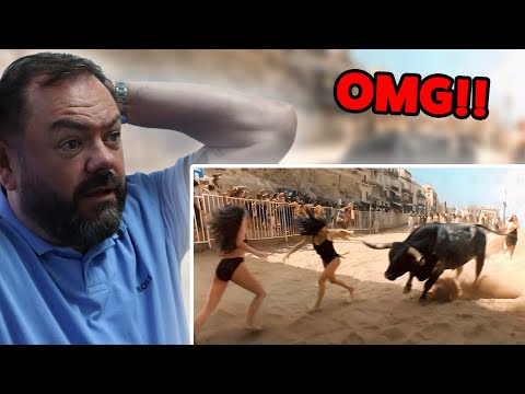 BRITS React to When Animals Go On A Rampage And Got Caught On Camera!