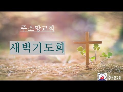 12/19/2025  새벽기도회  [교회는 세상속 진리의 기둥과 터입니다 / 딤전3:14- 4:5] 임금빈 목사