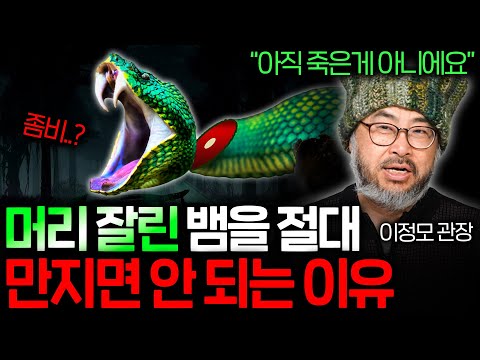 The Evolution of a Snake Gaining Slash-Edge Powers in Exchange for Legs | Science News EP.19