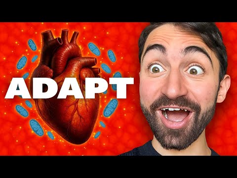 Heart Attacks and Mitochondria — This Literally Gave Me Goosebumps!