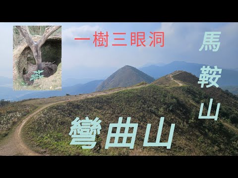 [ 西貢 ]➡️ 尋找被遺忘嘅(一樹三眼洞), 百看不厭嘅(彎曲山)[09.11.2025]