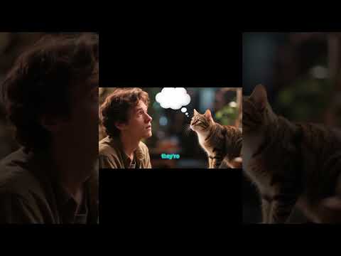 Can a Civet and Cat Nap Together in Perfect Harmony #cat #catbehavior #catpsychology #catlovers