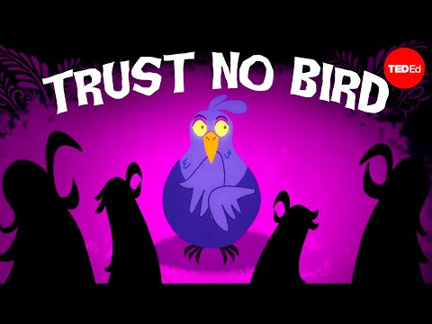 Would you raise the bird that murdered your children? - Steve Rothstein