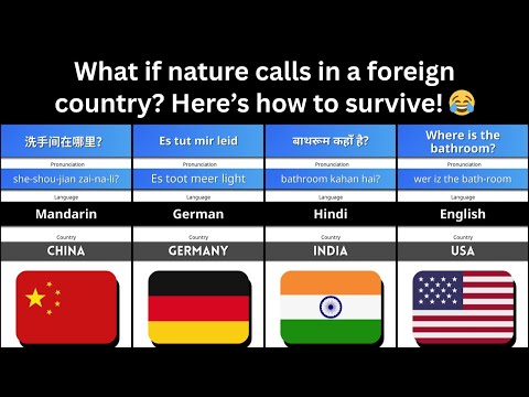 Where is the Washroom in 50 Languages 🚻✈️