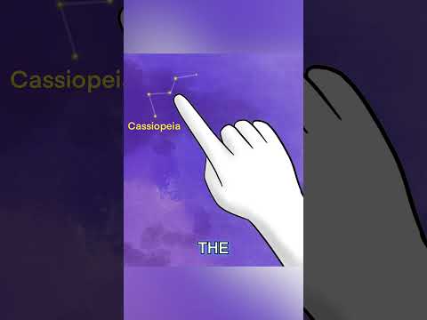 How to Find Directions In a Desert #shorts #animation #survival