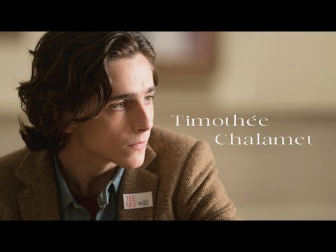 【甜茶】香奈兒全新代言人? 首次時尚代言？甜茶精彩電影大盤點 | cmbyn | 小婦人 | 紐約的一個雨天 | 沙丘 |  #香奈兒 #甜茶 #時尚 #callmebyyourname #電影