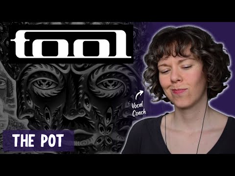 Vocal Coach listens to "The Pot" for the first time - Tool Reaction and Vocal Analysis