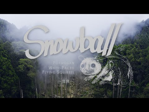 《地球的孤兒：台灣的精靈II》雪寶 4K HDR