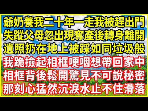 爺奶養我二十年一走我被趕出門,失蹤父母忽出現奪產後轉身離開,遺照扔在地上被踩如同垃圾般,我跪撿起相框哽咽想帶回家中,相框背後鬆開驚見不可說秘密,那刻心猛然沉淚水止不住滑落!#情感故事 #深夜淺談