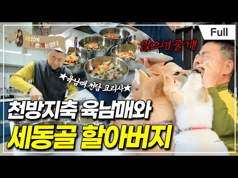 [Full] 세상에 나쁜 개는 없다 - 천방지축 육남매와 세동골 할아버지