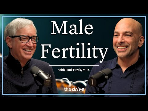 351 ‒ Male fertility: optimizing reproductive health, treating infertility, & navigating TRT