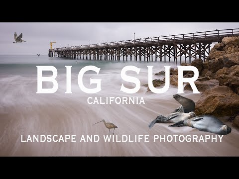 EPIC Seascapes and Wildlife Photography at Big Sur, California