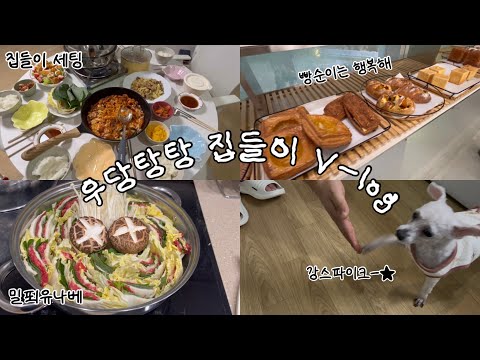 Vlog 신혼부부 일상|강쥐 처음 접선🐾|집들이|장보기 연속🤑