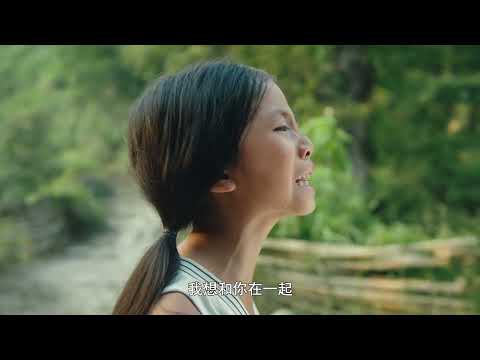 一部关于“成长”与“失去”的冷门佳作《不期而遇的夏天》 #影视经典补完计划 #电影解说 #成长