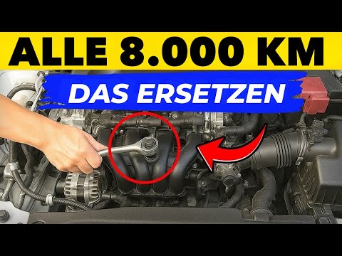 Die Meisten Autos Sterben Früh – Diese 20 Gewohnheiten Brachten Meins auf 700.000 km!