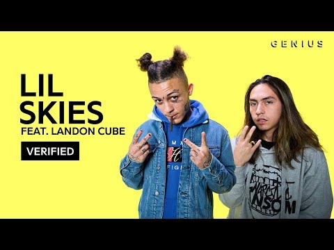 Lil Skies "Red Roses" Feat. Landon Cube Official Lyrics & Meaning | Verified