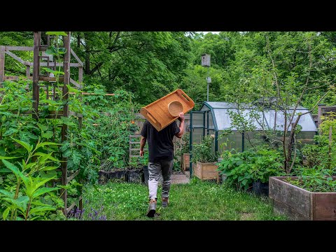In one year from April to December, we grew so much food in our greenhouse and here's how we did it