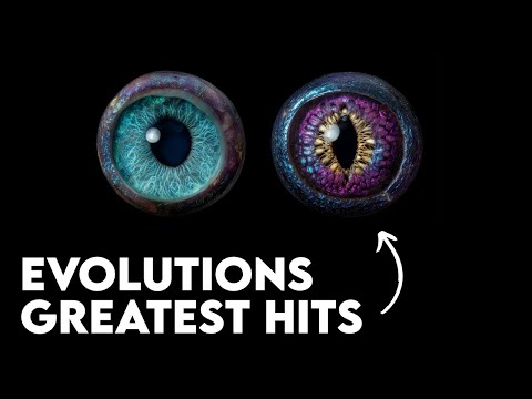 When Life Solves the Same Problem Twice