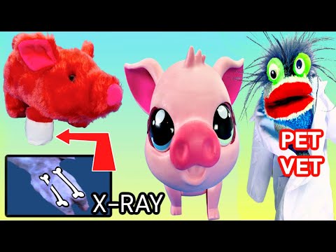 Fizzy the Pet Vet Helps Baby Pigs Feel Better