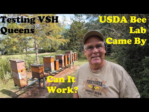 Tackling Varroa With Genetics | Beekeeping Must Watch