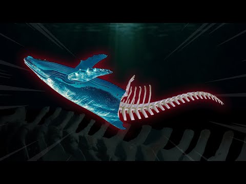 Кладбище китов — место, откуда они не возвращаются