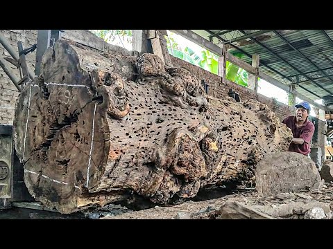 UNBELIEVABLE FEAR FACTOR! No One Dared to Cut It—Except the Brave at This Sawmill