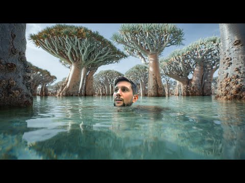 Why you NEED to travel Yemen (7 days in Socotra)