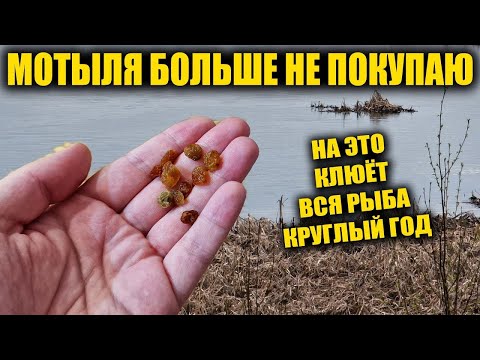 Эта насадка ловит по 50кг рыбы за 2 часа рыбалки на любые снасти. Супер рыболовная насадка