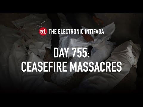 Breaking news and analysis on day 755 of the Gaza genocide | The Electronic Intifada