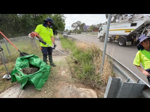 Roadside Lawn Rescue: Watch Us Work Our Magic!