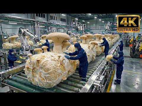 From Spores to Luxury Bag: The Incredible Mycelium Process ( ASMR - Full Process )