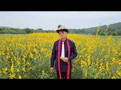 胡財源=媽媽請你不通痛