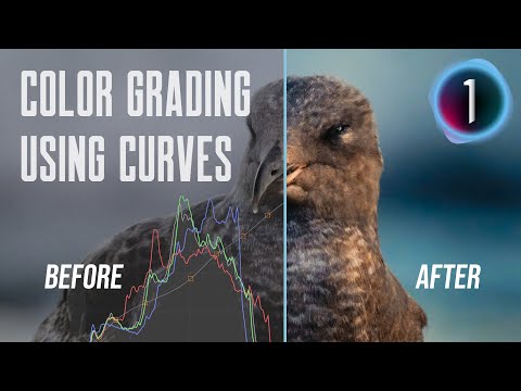 Capture One - Color Grading using Curves