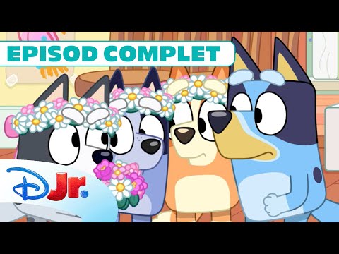 EPISOD COMPLET: 🏠 Înlăturare | Blue | Disney Junior România