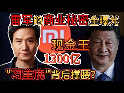 老王来了：从“屌丝”到1300亿“现金王”！｜雷军小米帝国崛起真相曝光！｜习主席+彭国母全力支持？！｜