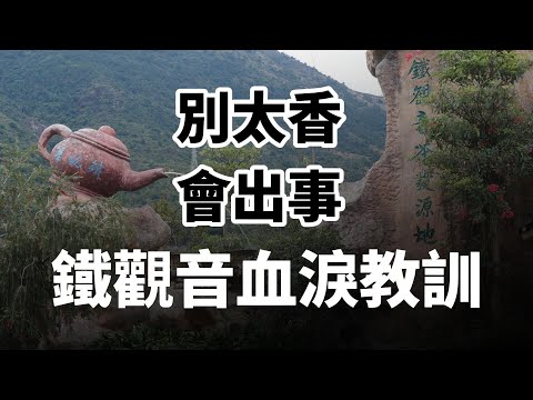 【市場觀察】別太香,會出事,安溪鐵觀音教我們的事