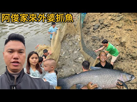 越南阿俊家庭回農村外婆家抓大魚，氣氛像過年一樣