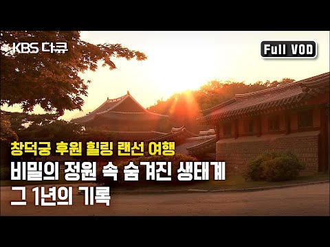 세계문화유산 창덕궁 후원 힐링 랜선여행! 비밀의 정원 속 숨겨진 생태계 그 1년간의 기록 -  28년만의 공개, 창덕궁 후원 (KBS 20050101 방송)