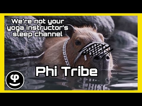 Vibe With Us on the Coolest Sleep Channel on YouTube | Phi Tribe