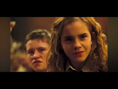 Every Harry Potter and Fantastic Beasts Movie Ranked-Worst to Best