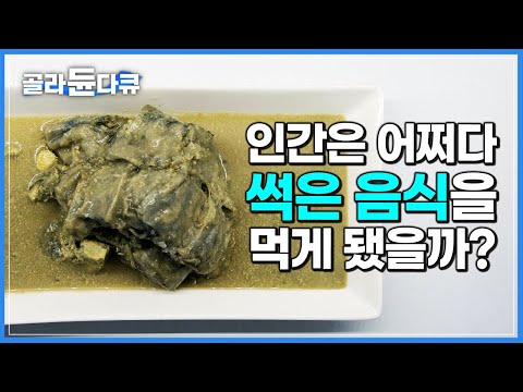 우리는 매일 썩은 음식을 먹고 있었다!? 풍미와 역겨움, 발효와 부패 그 사이. 미생물이 만들어낸 음식의 세계┃요리의 과학┃다큐프라임┃#골라듄다큐