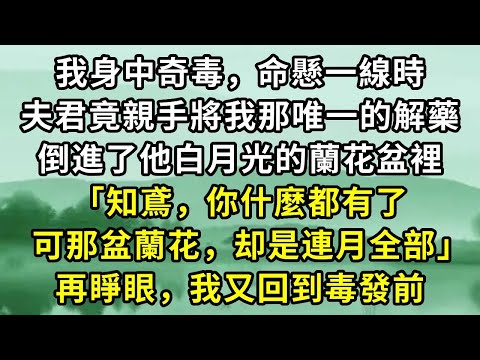 我身中奇毒,命懸一線時。夫君竟親手將我那唯一的解藥。倒進了他白月光的蘭花盆裡「知鳶,你什麼都有。可那盆花,是連月全部」再睜眼,我又回到毒發前#小说