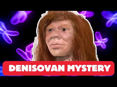 Scientists Finally Solve The Denisovan DNA Mystery