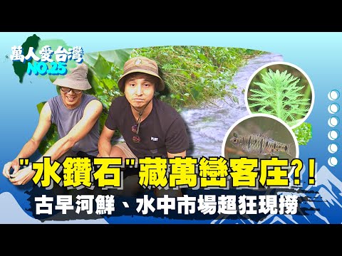 《萬人愛台灣》【講究古法 傳統豆皮傳香全台 / 廢物利用 創造雙贏價值 / 寵妻法寶大風草茶 /客庄聚落 人溪共存】 台灣第一等