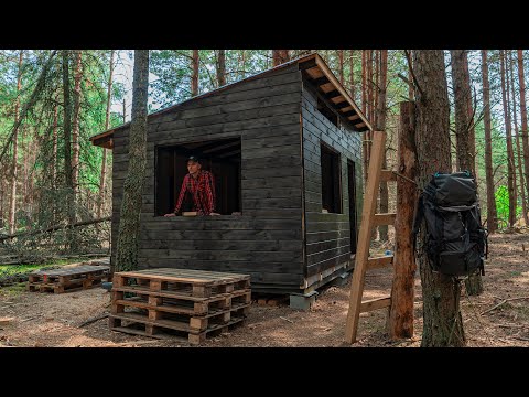 Off grid living soon, Cabin building in the woods, thunderstorm and rain