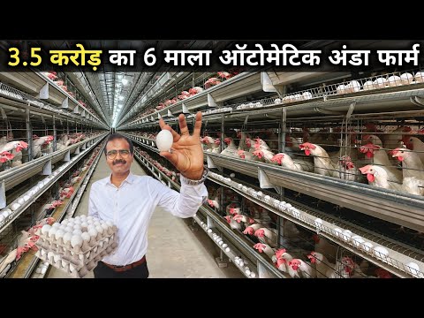 ऐसा अनोखा 6 मंजिला अंडा फार्म आपने देखा नहीं होगा |100% Automatic Layer Poultry Farm