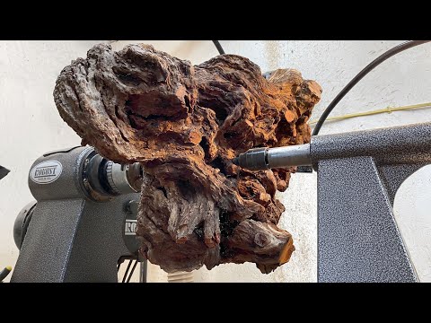 The Burl of Wizardry ☠️