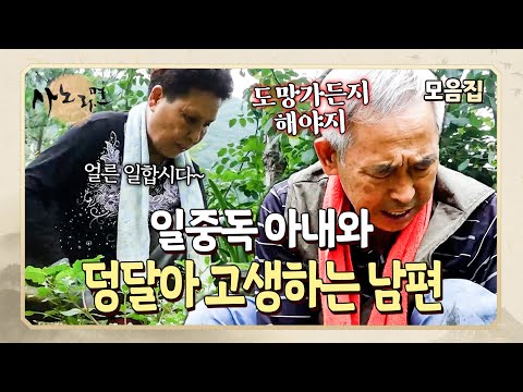 "당신은 일중독이야" 쉬지 않고 일 시키는 아내 때문에 지친 남편 | 사노라면 모음집