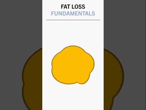Fat Loss Fundamentals